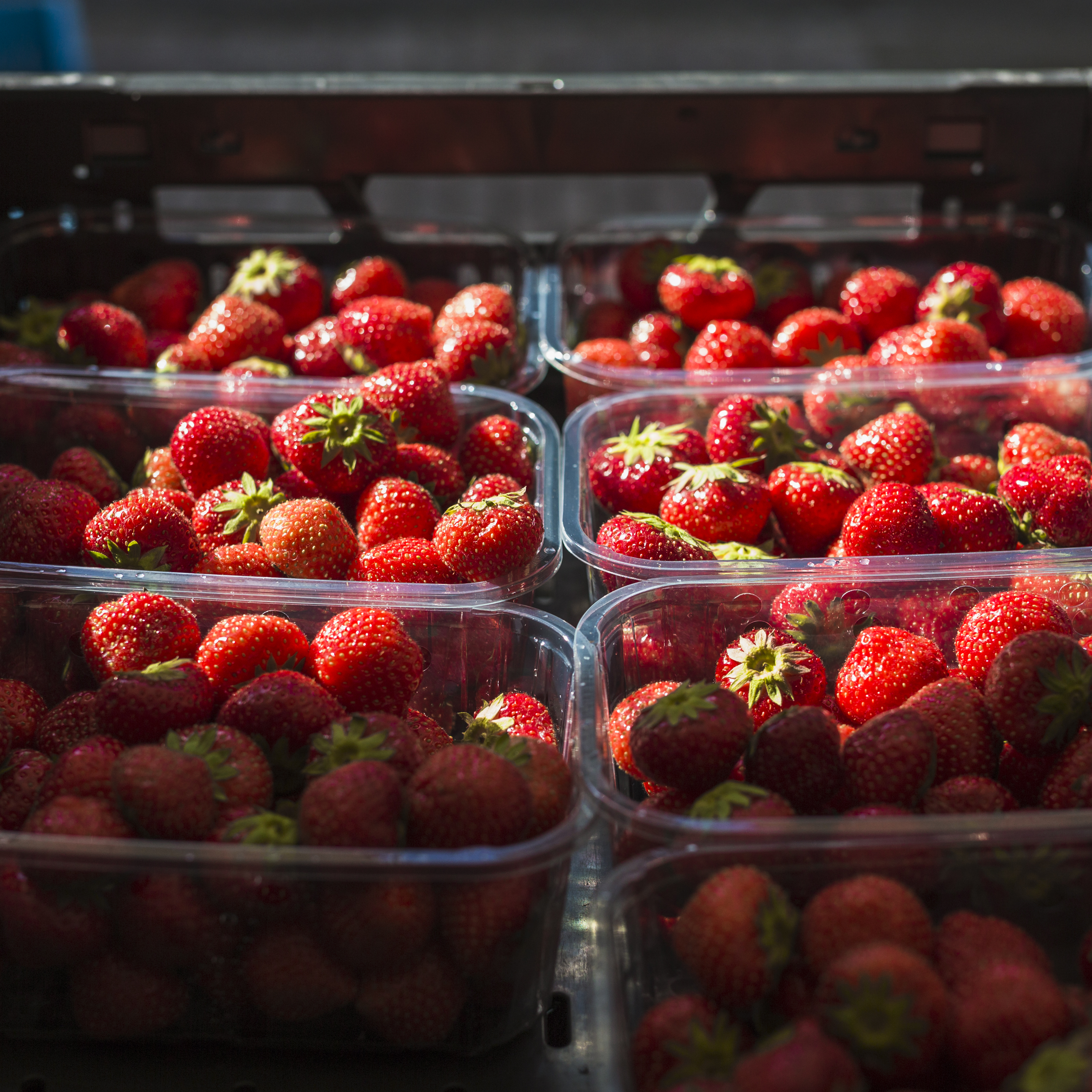 Truskawki w pojemnikach