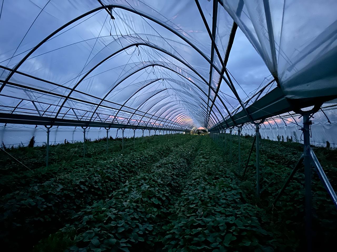 Optymalizacja działania systemu